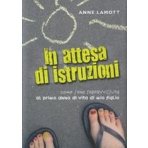 IN ATTESA DI ISTRUZIONI Lamott Anne