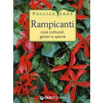 RAMPICANTI