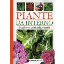 PIANTE DA INTERNO