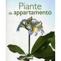 PIANTE DA APPARTAMENTO