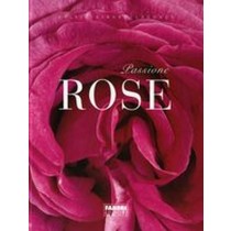 PASSIONE ROSE