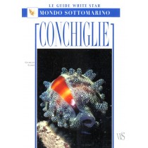 CONCHIGLIE