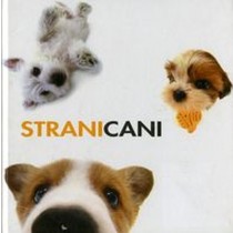 STRANI CANI