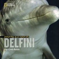 INCONTRI RAVVICINATI DELFINI