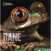 INCONTRI RAVVICINATI RANE