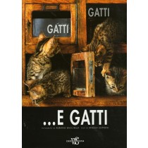 GATTI GATTI ... E GATTI