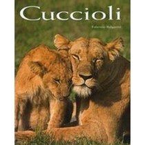 CUCCIOLI Bulgarini Fabrizio