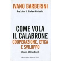 COME VOLA IL CALABRONE Barberini Ivano