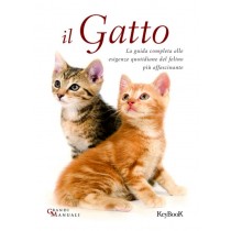 GATTO (IL)