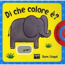 DI CHE COLORE E'? Lloyd Sam