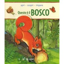 QUESTO E' IL BOSCO
