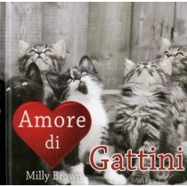 AMORE DI GATTINI