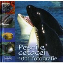 PESCI E CETACEI
