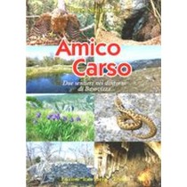 AMICO CARSO