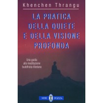 PRATICA DELLA QUIETE E DELLA VISION