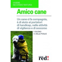 AMICO CANE