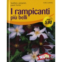 RAMPICANTI PIU' BELLI (I)