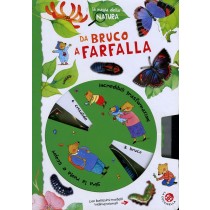 DA BRUCO A FARFALLA