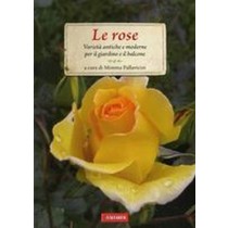 ROSE (LE)