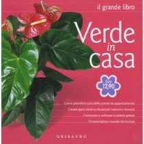 GRANDE LIBRO VERDE IN CASA aa.vv