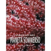 VIAGGIO NEL PIANETA SOMMERSO