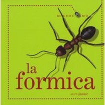 FORMICA (LA) aa.vv