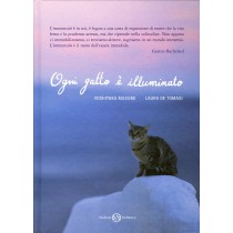 OGNI GATTO E ILLUMINATO
