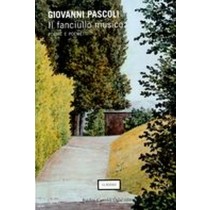 FANCIULLO MUSICO (IL)