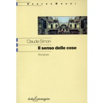 SENSO DELLE COSE (IL)