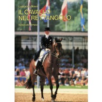 CAVALLO NEL RETTANGOLO (IL)