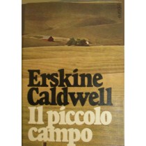 Il piccolo campo