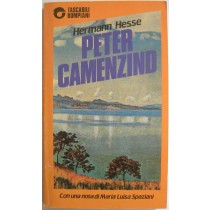 Peter – Camenzind