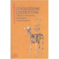 EVOLUZIONE COSTRUTTIVA (L')