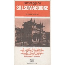 Pomeriggi Da Salsomaggiore. Nando Avanzini. Con Una Nota Medica Di Guido Granata. Cappelli 