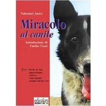 Miracolo Al Canile Brevi Storie Di Cani, Appassionate, Curiose, Coinvolgenti: Semplicemente Vere  Aa Vv  Colors, Stampa 2000