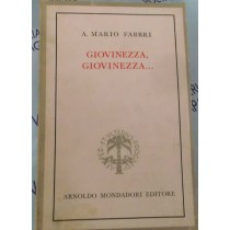 Giovinezza, Giovinezza... A.M.Fabbri Mondadori 