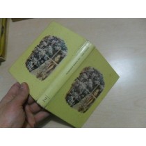 Tra Fuochi D'Artificio Gray Angela Cino Del Duca 