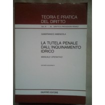 Teoria e pratica del diritto. La tutela penale dall'inquinamento idrico,Gianfranco Amendola,iuffrè