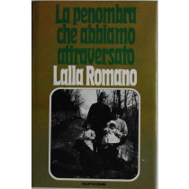 La penombra che abbiamo attraversato