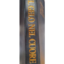 Il gelo nel cuore,Jacqueline Briskin,Cartiere Del Garda