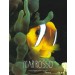 MAR ROSSO Doubilet David