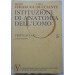 Istituzioni Di Anatomia Dell'Uomo Vol. 5 Decima Edizione Chiarugi - Bucciante Vallardi 