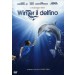 L' Incredibile Storia Di Winter Il Delfino